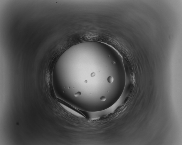X0000097841299200803201510