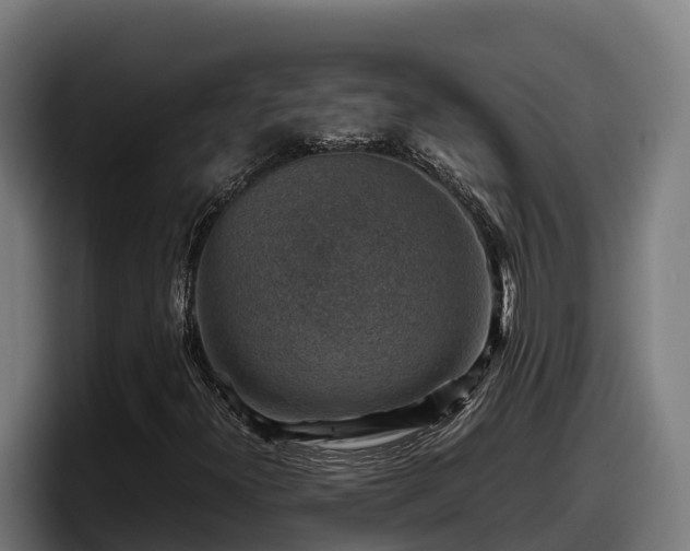 X0000097841300200803201510