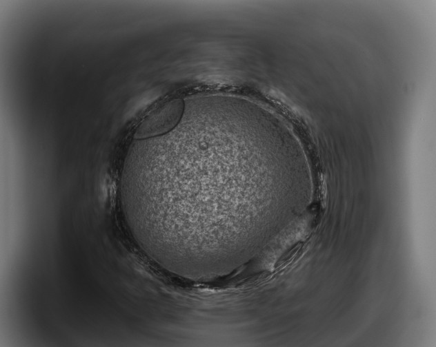 X0000097841302200803201510