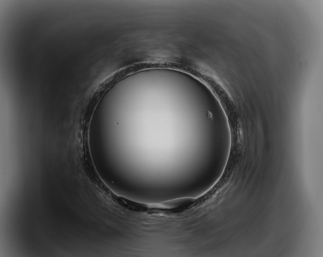 X0000097841304200803201510