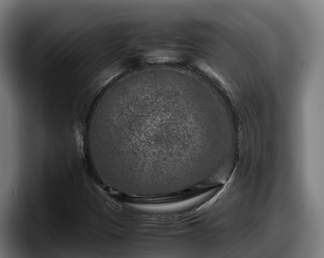 X0000097841305200803201510