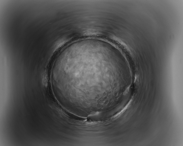 X0000097841306200803201510