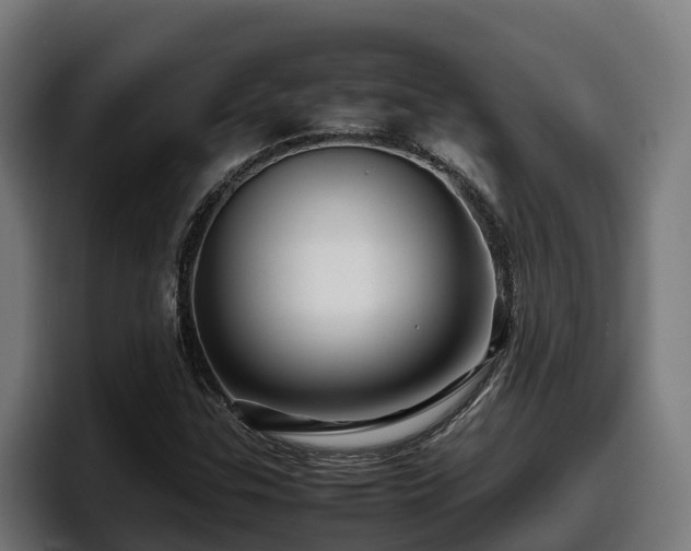 X0000097841307200803201510
