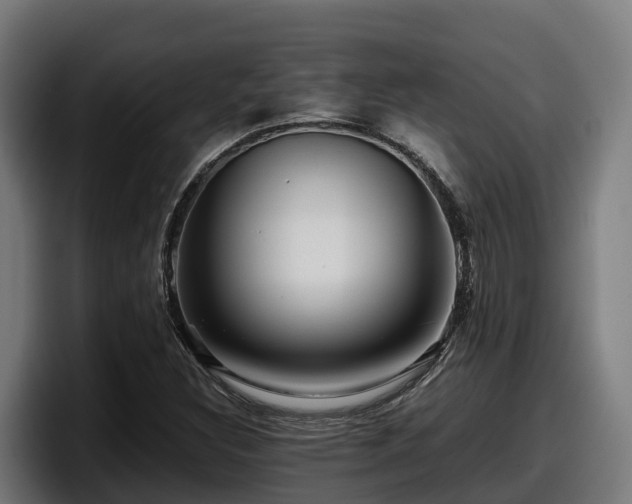 X0000097841308200803201510