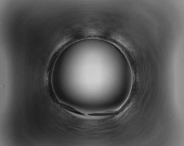 X0000097841309200803201510