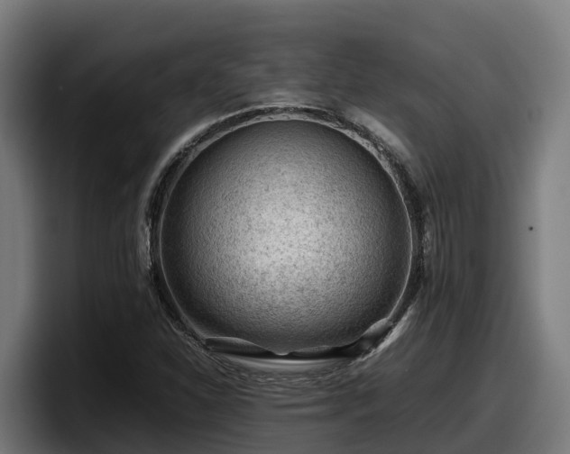 X0000097841310200803201510