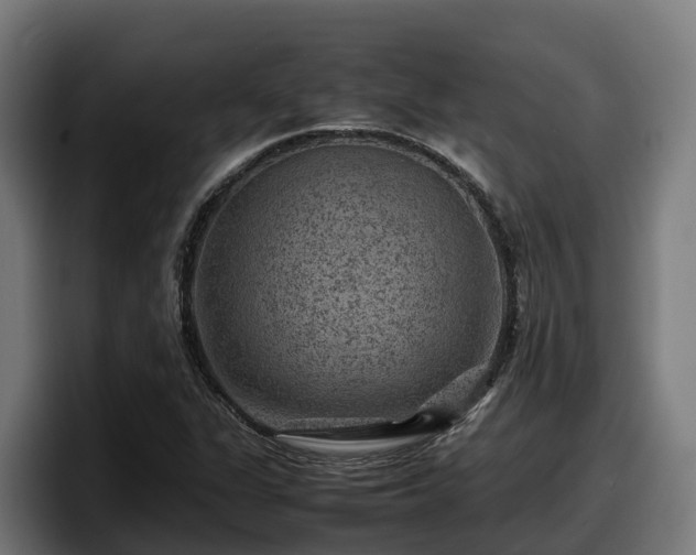 X0000097841311200803201510