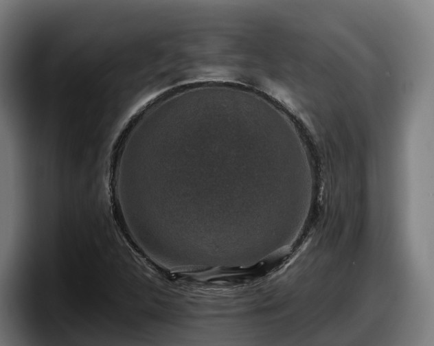 X0000097841312200803201510