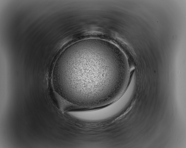 X0000097841313200803201510