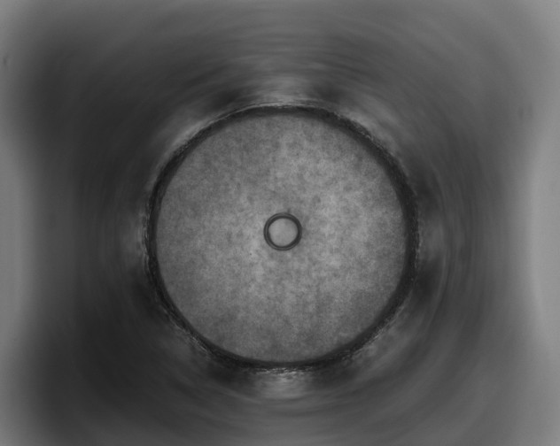 X0000097841314200803201510