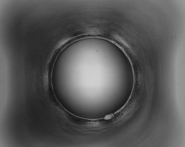 X0000097841315200803201510