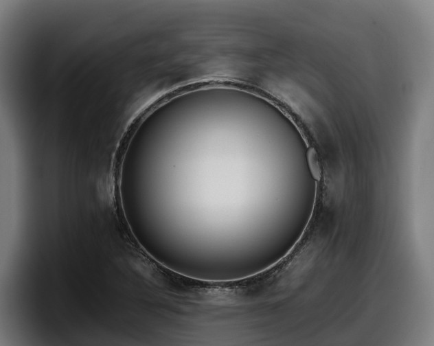 X0000097841316200803201510