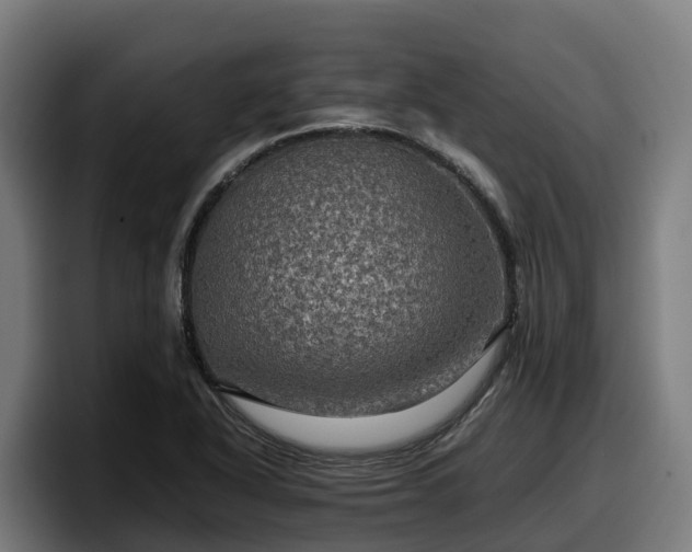 X0000097841318200803201510