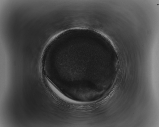 X0000097841319200803201510