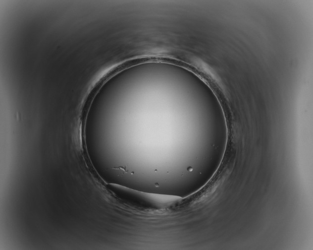 X0000097841320200803201510