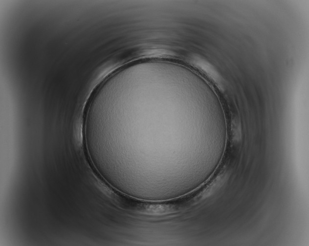 X0000097841322200803201510