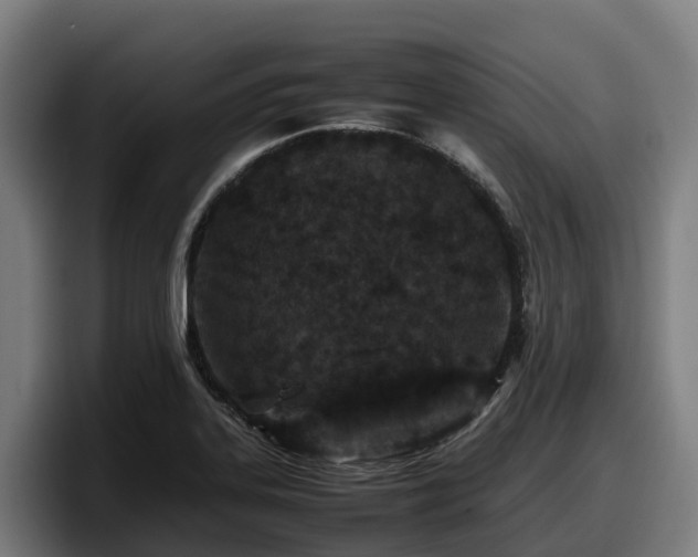 X0000097841323200803201510