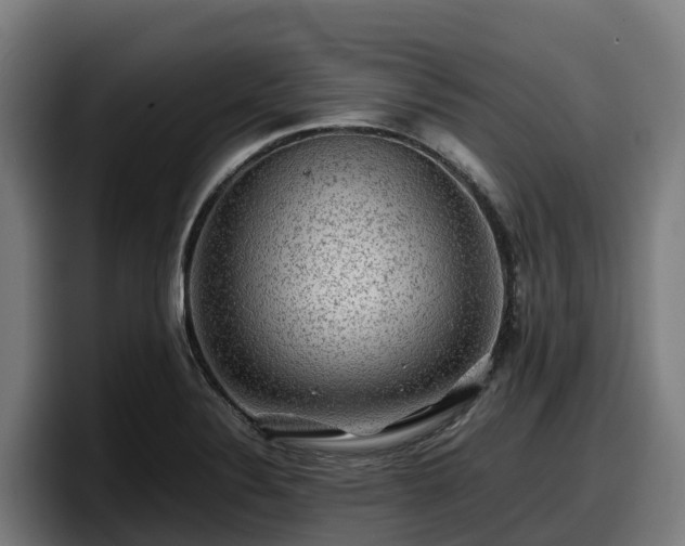 X0000097841324200803201510