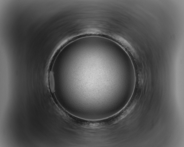 X0000097841326200803201510
