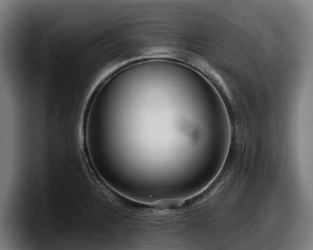 X0000097841328200803201510