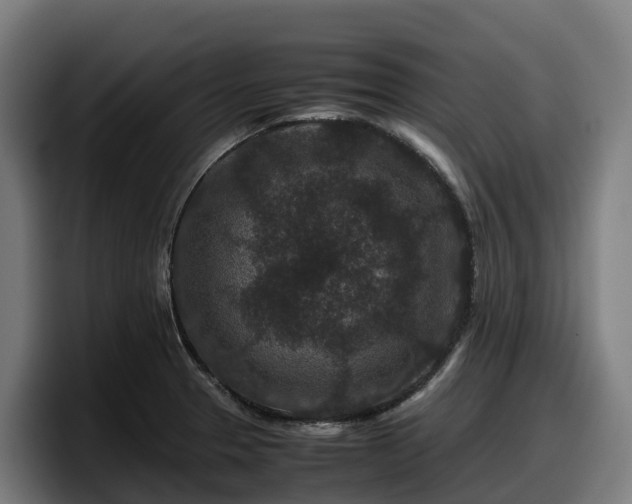 X0000097841329200803201510
