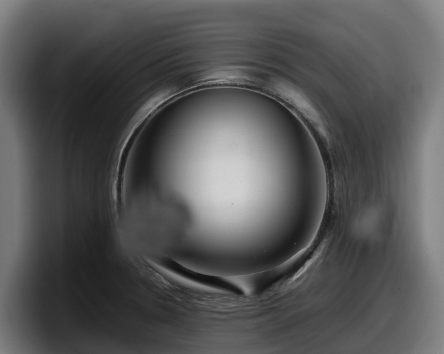 X0000097841330200803201510
