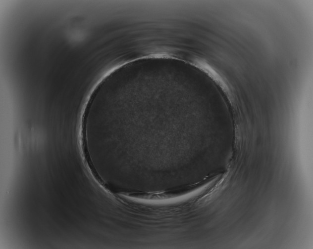 X0000097841331200803201510