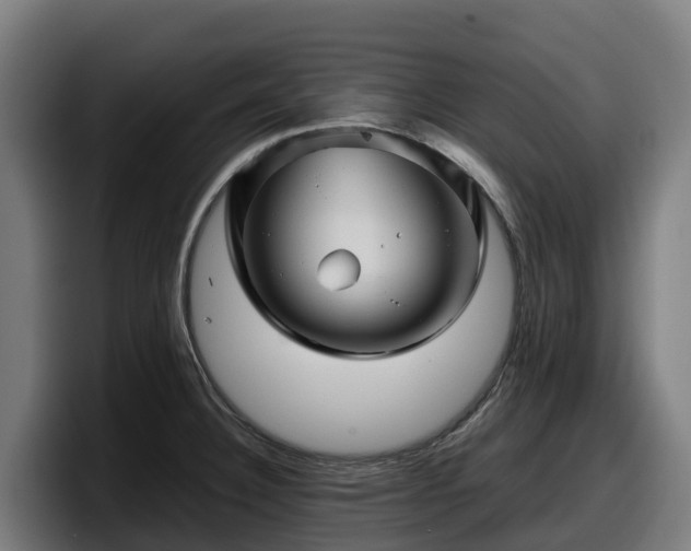 X0000097841332200803201510