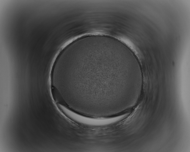 X0000097841335200803201510