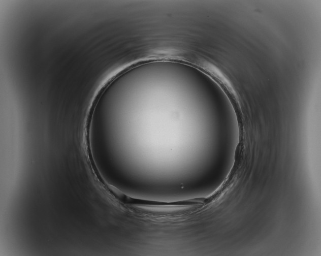 X0000097841336200803201510