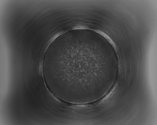 X0000097841337200803201510