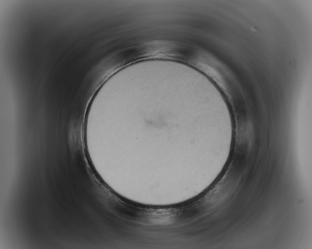 X0000097841338200803201510