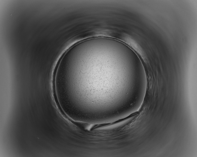 X0000097841339200803201510