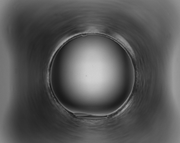 X0000097841340200803201510