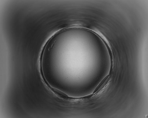 X0000097841341200803201510
