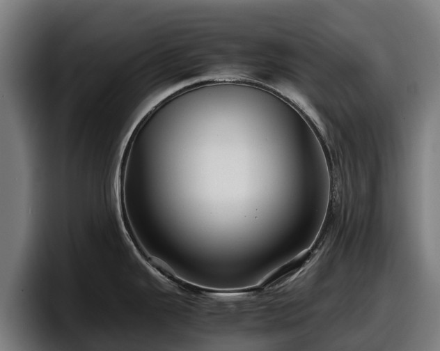X0000097841343200803201510