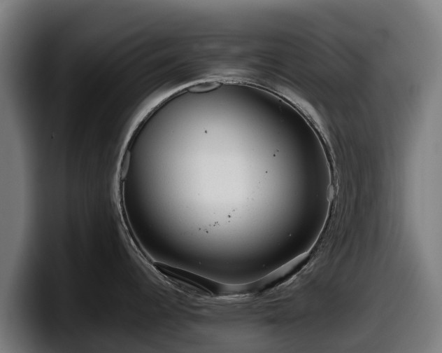X0000097841344200803201510