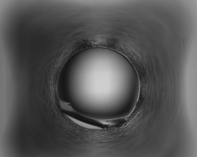 X0000097841345200803201510