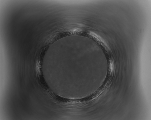 X0000097841346200803201510