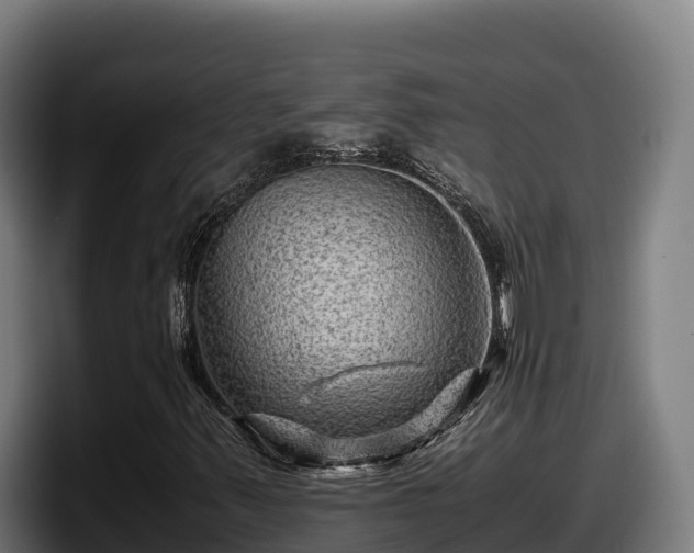 X0000097841347200803201510