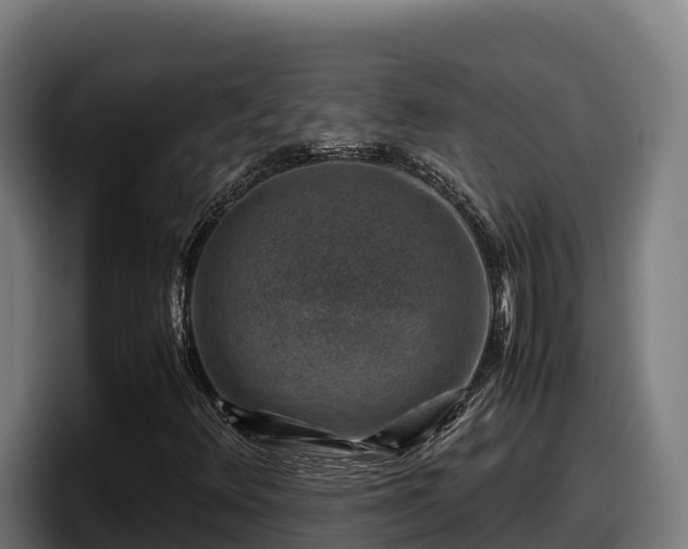 X0000097841348200803201510