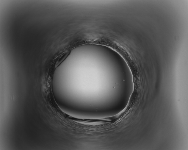 X0000097841349200803201510
