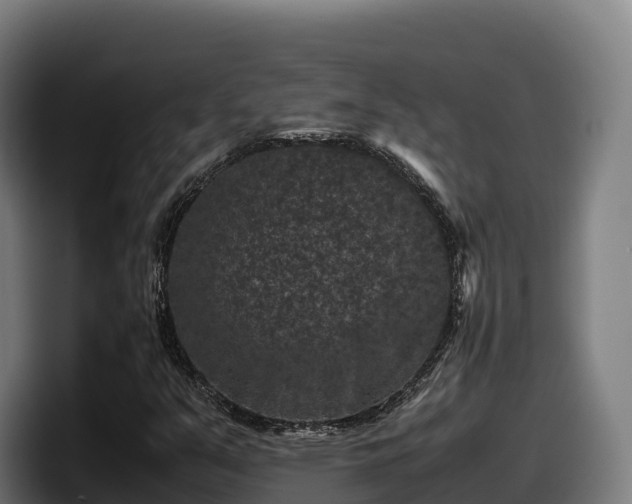 X0000097841351200803201510