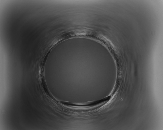 X0000097841353200803201510