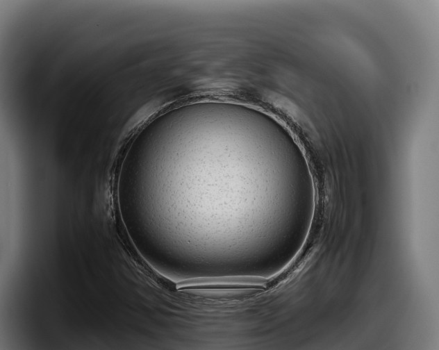X0000097841354200803201510