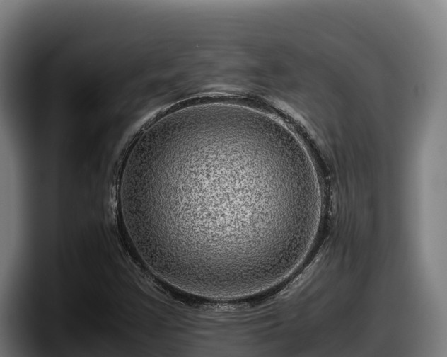 X0000097841355200803201510