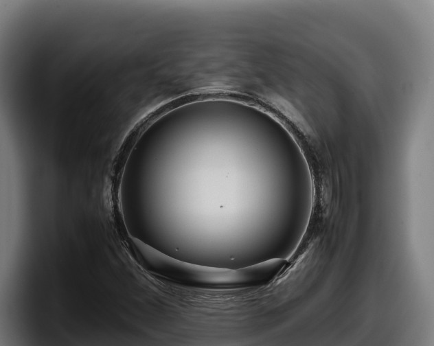 X0000097841356200803201509