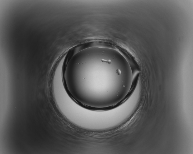 X0000097841357200803201509