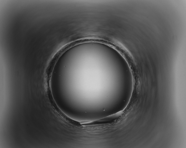 X0000097841360200803201509