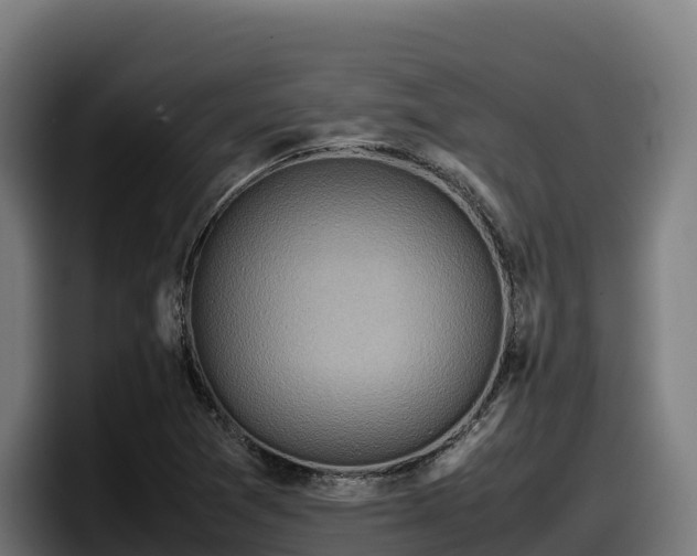 X0000097841361200803201509